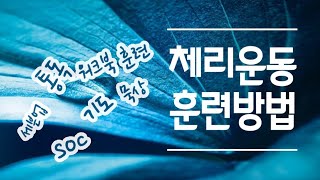 [NCMN 체인저리더십] 체리운동 훈련 안내 1