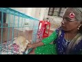 കാല് തളർന്നാലെന്ത് കുഞ്ഞുവാവക്ക് ഓമന ഉണ്ടല്ലോ cat pets animals