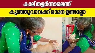 കാല് തളർന്നാലെന്ത്, കുഞ്ഞുവാവക്ക് ഓമന ഉണ്ടല്ലോ | Cat | Pets | Animals