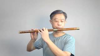 【春風吻上我的臉】 - D調曲笛. Chinese Flute (老歌系列-151）