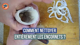 Comment nettoyer les encornets ? (ou le calamar)