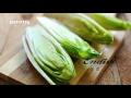 食材法文教學 苦苣 endive