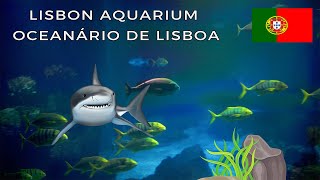 Lisbon Aquarium: One of the largest indoor aquariums in Europe - Oceanário de Lisboa