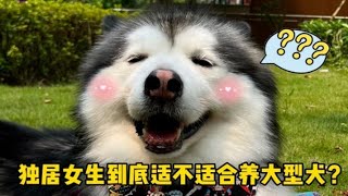 独居女生养大型犬的真实体验，看完你还敢养吗？