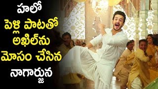 #Nagarjuna Cheated  #Akhil With  #Hello Wedding Song Promo | Latest Telugu Cinema News