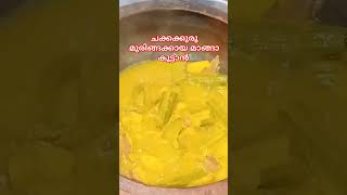 ചക്കക്കുരു മുരിങ്ങക്കായ മാങ്ങാ കൂട്ടാൻ #keralatraditionalrecipe #palakkadan #kerala #food