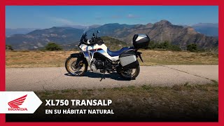 LA NUEVA HONDA TRANSALP EN SU HABITAT NATURAL