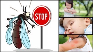 ഒരൊറ്റ ദിവസം കൊണ്ട് കൊതുകിനെ അകറ്റാം | Natural ways to get rid of Mosquitoes | DIY | Health Tips