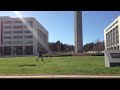 when plovers attack in canberra act