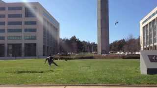 When PLovers attack in Canberra, ACT