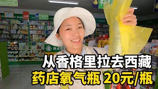 单身美女一个人自驾去西藏！去药店买氧气瓶，20块钱一瓶贵吗？ #travel #西藏 #美女