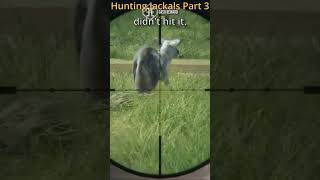 69 theHunter: Call of The Wild Beginner Tips 2024 - Hunting Jackals P3 #thehunter  #callofthewild