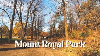 Afternoon fall hike to Kondiaronk Belvedere viewpoint in Mount Royal Park in Downtown Montreal