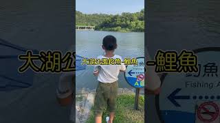 弟弟釣起一尾鯉魚 ｜大湖公園釣魚