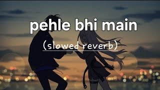 Pehle Bhi Main (Slowed + Reverb) | Vishal Mishra | Animal Ranbir Kapoor