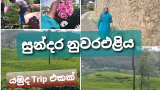 සුන්දර නුවරඑළියට යමුද Trip එකක්......./ Travelling vlog/ Trip to Nuwaraeliya Srilanka