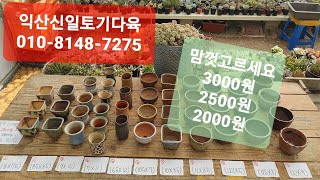 (익산신일토기다육)#다육화분♡마음껏골라요#2000원,2500원,3000원#010-8148-7275