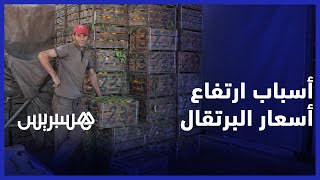 الجفاف ونقص الانتاج.. مهنيون يوضحون أسباب ارتفاع أسعار البرتقال  بالأسواق