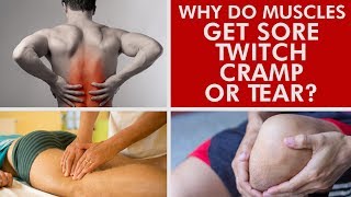 Why Do Muscles Get Sore, Twitch, Cramp or Tear?