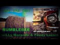 willy marando u0026 feedy lazaro bumble bee original mix