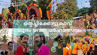 ഞങ്ങളുടെ പൂരം'24 💚😍💥#malayalamvlog #greenysisira #thechikkottukavu