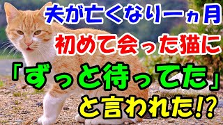 夫が亡くなり１ヵ月。はじめて出会った猫に『ずっと待ってた』と言われた!?【猫の不思議な話】【朗読】