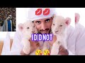 I DID NOT | Sheikh hamdan VIDEO |FAZZA (فزاع) Famous Poem | Crown Prince DUBAI #faz3 #youtube #dubai