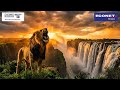 Roar Above Resistance | Econet Victoria Falls Marathon 2026