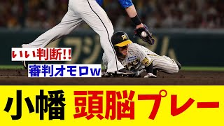 阪神・小幡竜平　まさかの行動にネット絶賛！！！【野球情報】【2ch 5ch】【なんJ なんG反応】【野球スレ】