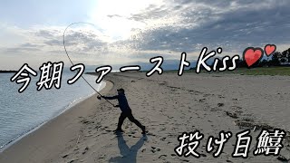 【 シロギス投釣り🎣 】  富山湾 キス調査❤️