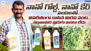 మిరప పంటలో ఎకరాకు 30క్వి దిగుబడి | Nano Gold,Nano Care Fertilizers In Mirchi | Shiva Agri Clinic