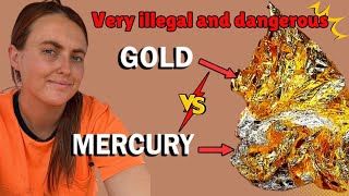 Mercury is still used in goldfields?|illegal and dangerous| finding gold metal detecting | #mercury