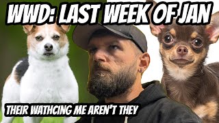 Week With Dave: week 4 2025