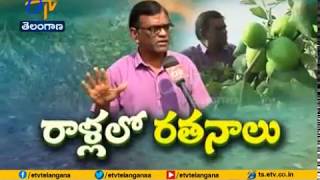 innovative Idea | Scientist Vilas Rao Gets Huge Income Through Natural Farming | Karanji | Adilabad