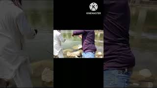 Best fishing wallago attu fish catching || #short #youtubeshorts #video