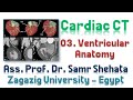 Cardiac CT (3) ... Ventricular Anatomy