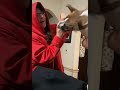 Pet Dog Bites Owner's Hand While She Tries to Take Their Paw Print - 1194077