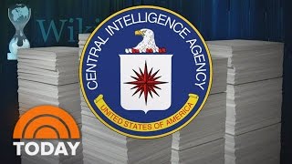 WikiLeaks Is An Agent Of Russia In Effect, Security Expert Says | TODAY