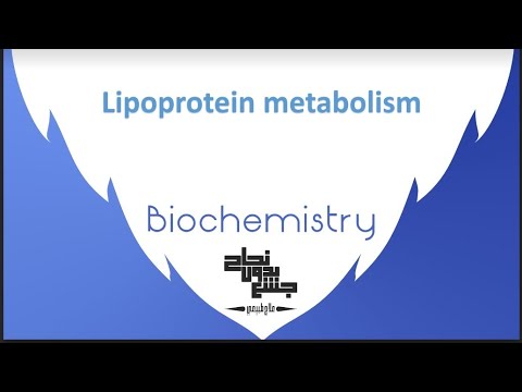 Lipoprotein Metabolism , Biochemistry 2, Lec 6 (part 1) - YouTube