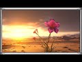 Flower Ambience wallpaper TV art | Winter Wonderland | Samsung Frame TV | snow cozy screensaver