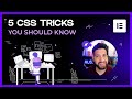 5 Elementor CSS Tricks You Should Know | Form Height, Hover Box, & SVG Hover Effect