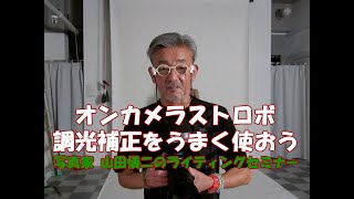 Vol.1 オンカメラストロボでは調光補正をうまく使おう