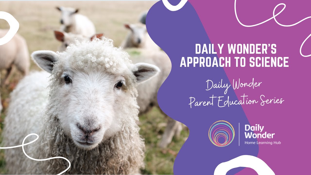 Daily Wonder S Approach To Science Youtube