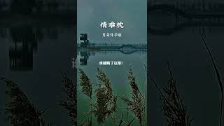 情难枕