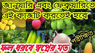 ছাদ বাগান ও ফল বাগান সহ সকল ফল বান বৃক্ষের যত্ন || ফল ধরবে স্বপ্নের মতো || সঠিক পরিচর্যা ও যত্ন ||