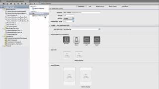 XCode4 - Adding a Framework
