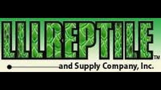 LLL reptile unboxing