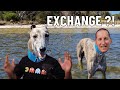 Weird EXCHANGE PARTITION failures