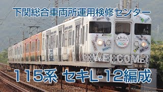 【さよならL-12編成】下関総合車両所115系L-12編成　走行シーンまとめ