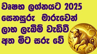 වෘෂභ ලග්නයට සෙනසුරු මාරුවෙන් ලැබීම් බහුල වේ/2025 සෙනසුරු මාරුව /saturn transist 2025